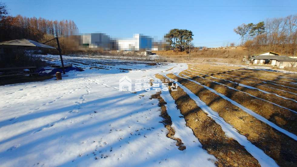 경기 파주시 하지석동 운정신도시 인근, 제2수도권 고속도로 운정ic(예정) , 서울~문산고속도로 금촌/북고양설문ic, 계획관리 토지 910평 매매 매매 매물번호 10294 사진 4