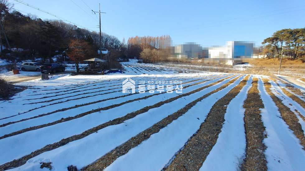경기 파주시 하지석동 운정신도시 인근, 제2수도권 고속도로 운정ic(예정) , 서울~문산고속도로 금촌/북고양설문ic, 계획관리 토지 910평 매매 매매 매물번호 10294 사진 5