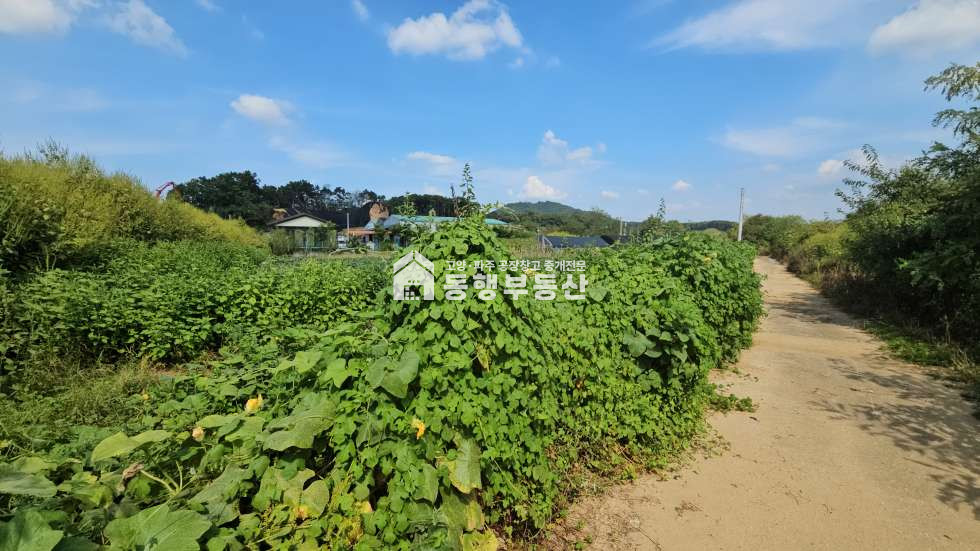 경기 파주시 파주읍 봉암리 #제2외곽순환도로 #서울문산고속도로 #월롱ic #생산관리토지 761평 매매 매매 매물번호 10478 사진 2