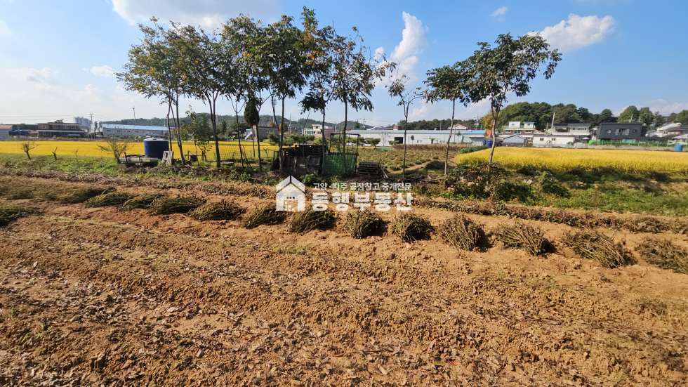 경기 파주시 월롱면 #투자가치 #제2외곽순환도로 #캠프에드워즈 #개발호재 #통일로 #금촌ic #5분이내 #계획관리 #소형토지 #160평매매 매매 매물번호 10574 사진 2