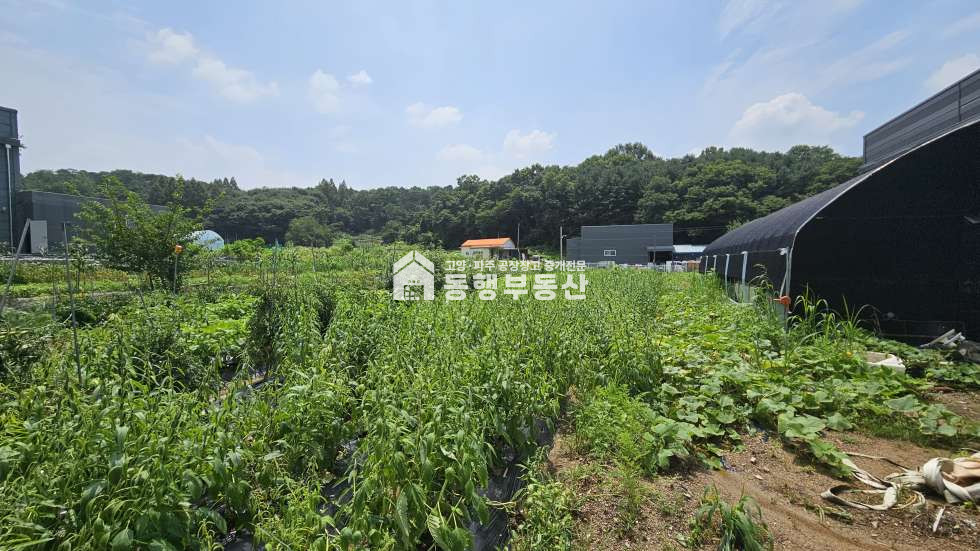 경기 파주시 조리읍 뇌조리 #1번국도 #통일로 #서울문산고속도로 #금촌ic #부지 #439평매매 매매 매물번호 10813 사진 1