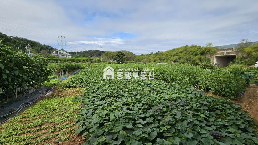 경기 파주시 아동동 #1번국도 #통일로 #금촌ic #오수직관가능 #투자용토지 #867평매매 매매 매물번호 10841 사진 5
