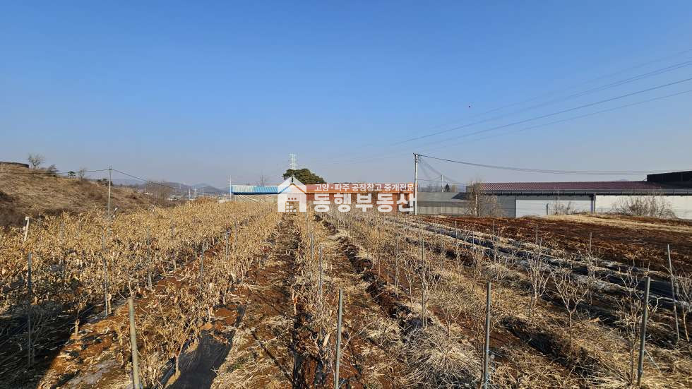 경기 파주시 아동동 #서울문산고속도로 #금촌ic #4차선도로변 #광고효과 #생산녹지 #454평 매매 매매 매물번호 10634 사진 1