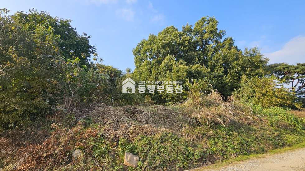 경기 파주시 조리읍 능안리 #북고양설문ic #계획관리 #산업존 #공장부지 #창고부지 #대형차진출입 #부지4029평 매매 매매 매물번호 11203 사진 3