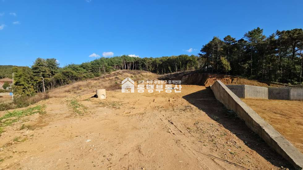 경기 파주시 맥금동 #식품공장 #허가조건부 #운정ic #자유로 #계획관리 #부지1451평 매매 매매 매물번호 11210 사진 4