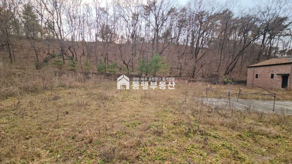 경기 파주시 조리읍 오산리 #자원순환 #고물상 #애견카페 #야적장 #팔방미인 #부지1000평 #건물120평 #부지분할매매가능 매매 매물번호 11327 사진 6