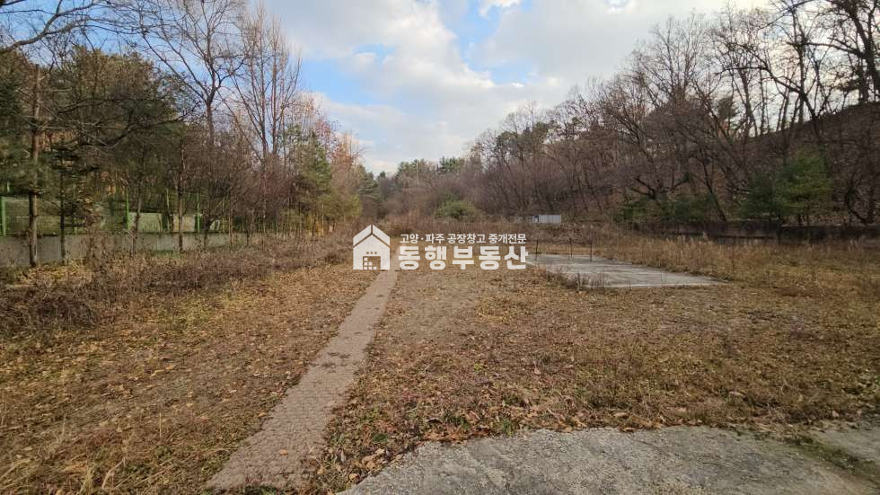 경기 파주시 조리읍 오산리 #자원순환 #고물상 #애견카페 #야적장 #팔방미인 #부지 약600평 #건물120평매매 매매 매물번호 11328 사진 4