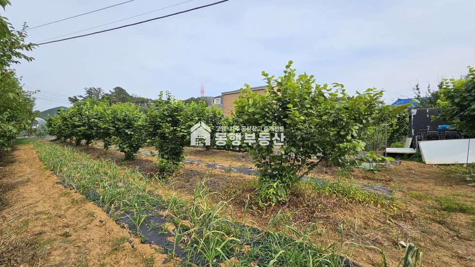 경기 파주시 파주읍 봉암리 #1번국도 #통일로 #서울문산고속도로 #월롱ic #부지 #159평매매 매매 매물번호 11361 사진 1
