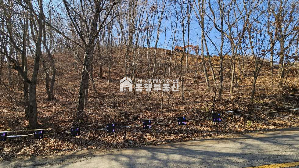 경기 파주시 탄현면 성동리 #자유로 #성동ic #4차선도로접 #성장관리 #복합존 #계획관리지역 #5625평 매매 매매 매물번호 10633 사진 5