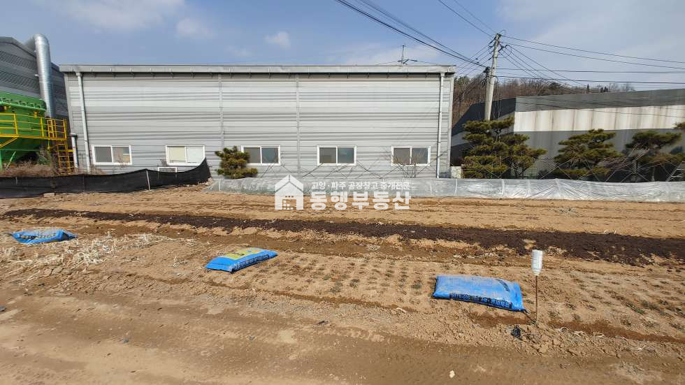 경기 파주시 조리읍 장곡리 저럼한 평당가, 통일로 및 금촌ic 인근, 대형차 진출입가능, 민원소지 X, 조리읍 장곡리 계획관리지역 토지 590평 매매 매매 매물번호 10119 사진 1