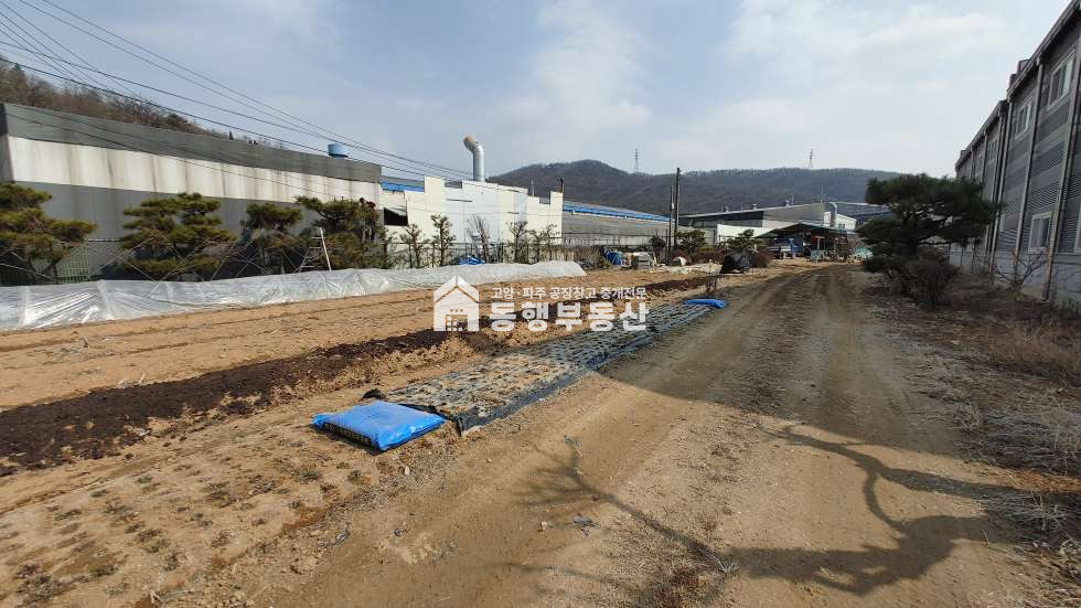 경기 파주시 조리읍 장곡리 저럼한 평당가, 통일로 및 금촌ic 인근, 대형차 진출입가능, 민원소지 X, 조리읍 장곡리 계획관리지역 토지 590평 매매 매매 매물번호 10119 사진 2