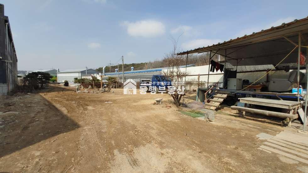 경기 파주시 조리읍 장곡리 저럼한 평당가, 통일로 및 금촌ic 인근, 대형차 진출입가능, 민원소지 X, 조리읍 장곡리 계획관리지역 토지 590평 매매 매매 매물번호 10119 사진 8