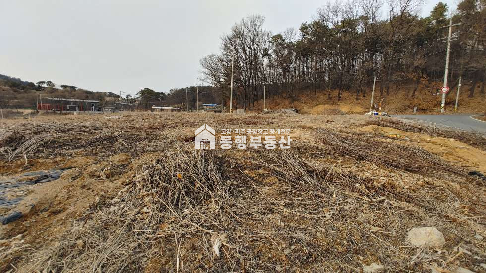 경기 파주시 탄현면 법흥리 계획관리지역 평당가200만, 자유로 성동ic인근, 토지 450평 매매 매매 매물번호 10137 사진 2