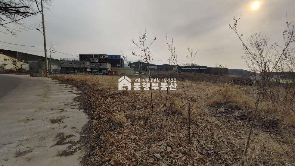 경기 파주시 탄현면 법흥리 계획관리지역 평당가200만, 자유로 성동ic인근, 토지 450평 매매 매매 매물번호 10137 사진 4